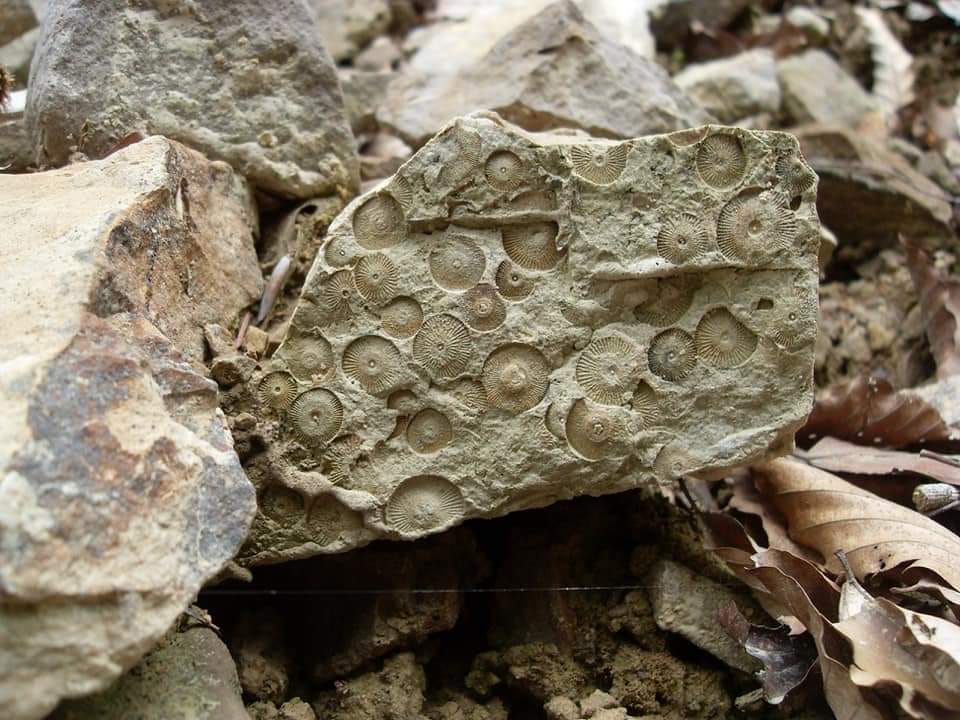 Steine auf dem Weg gefunden